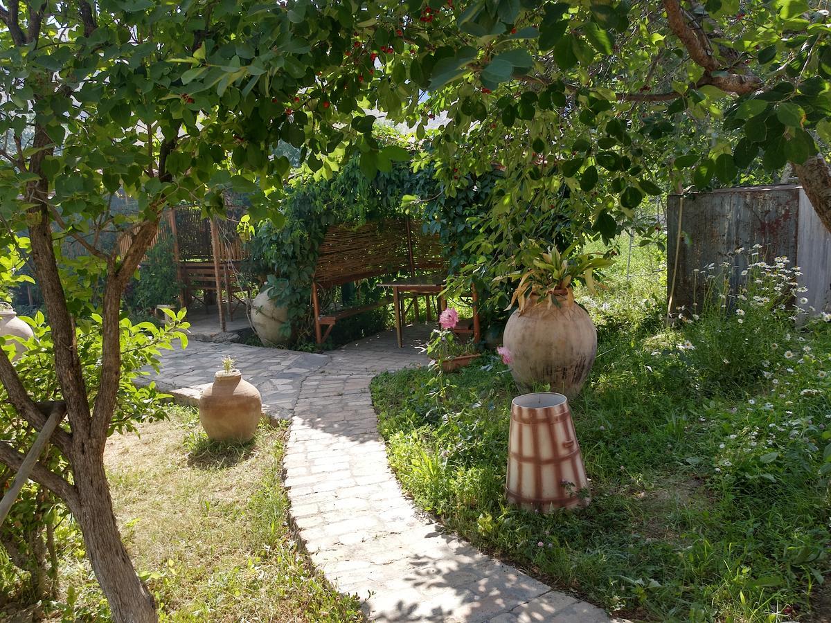 Gayane & Khikar B&B Чива Экстерьер фото